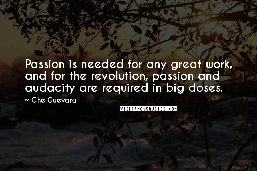 Che Guevara Quotes: Passion is needed for any great work, and for the revolution, passion and audacity are required in big doses.