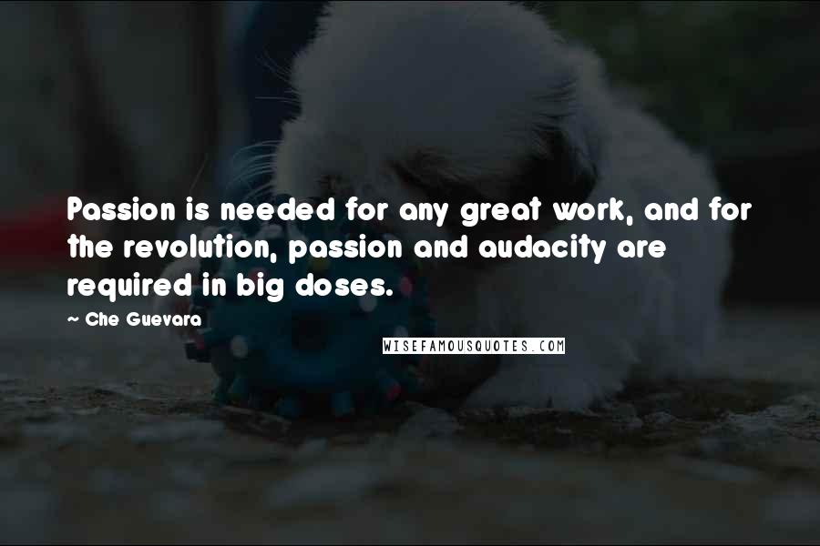 Che Guevara Quotes: Passion is needed for any great work, and for the revolution, passion and audacity are required in big doses.