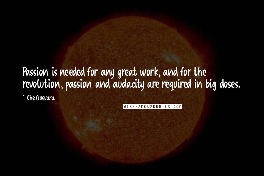 Che Guevara Quotes: Passion is needed for any great work, and for the revolution, passion and audacity are required in big doses.