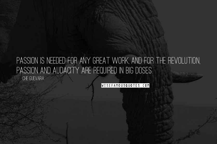 Che Guevara Quotes: Passion is needed for any great work, and for the revolution, passion and audacity are required in big doses.