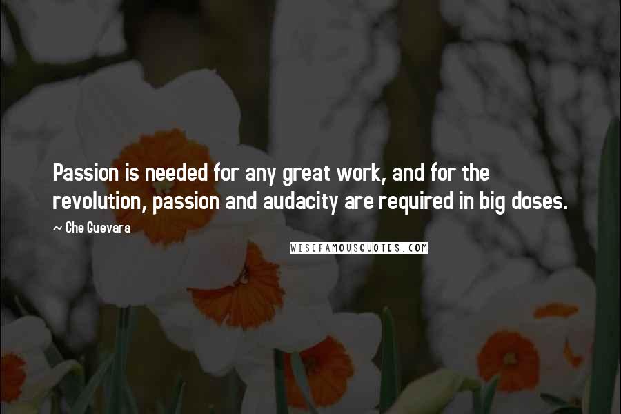 Che Guevara Quotes: Passion is needed for any great work, and for the revolution, passion and audacity are required in big doses.