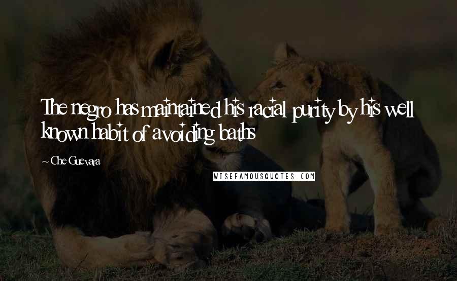 Che Guevara Quotes: The negro has maintained his racial purity by his well known habit of avoiding baths