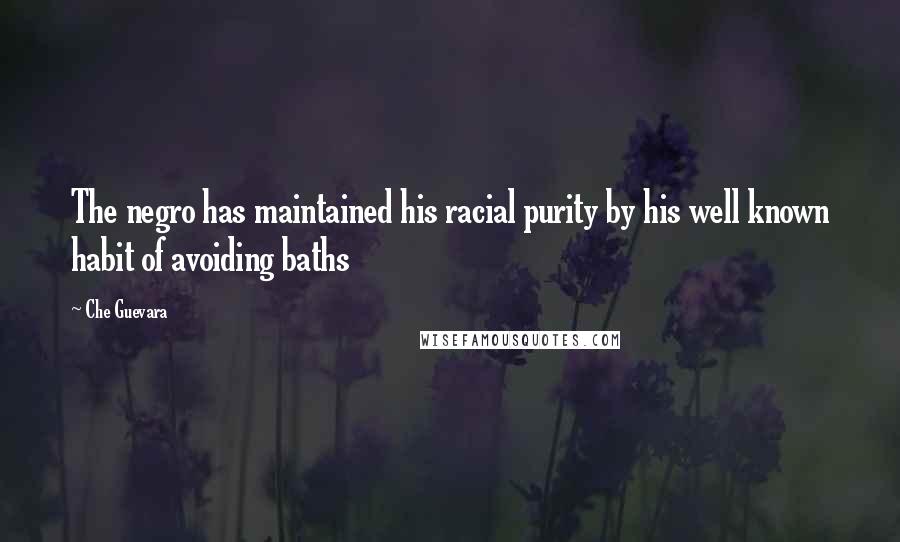 Che Guevara Quotes: The negro has maintained his racial purity by his well known habit of avoiding baths