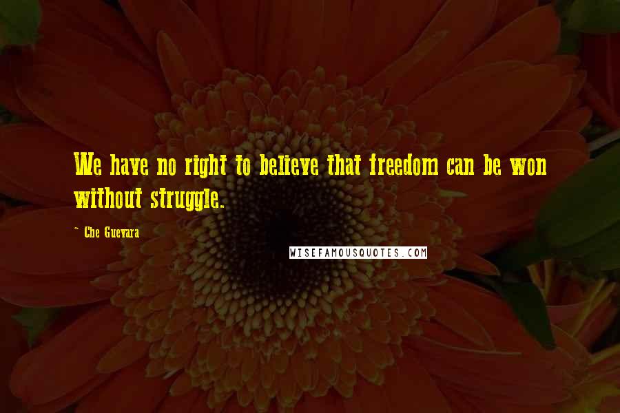 Che Guevara Quotes: We have no right to believe that freedom can be won without struggle.