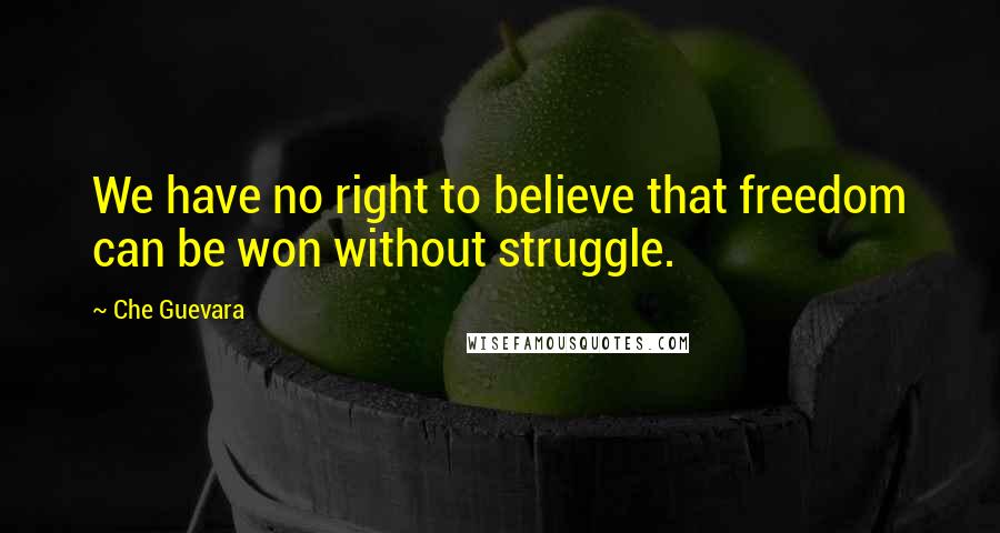 Che Guevara Quotes: We have no right to believe that freedom can be won without struggle.