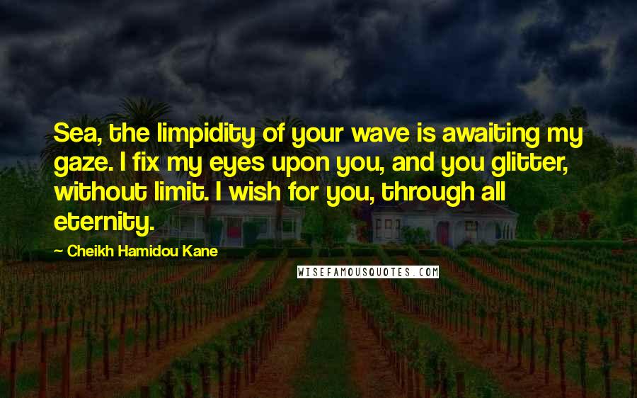 Cheikh Hamidou Kane Quotes: Sea, the limpidity of your wave is awaiting my gaze. I fix my eyes upon you, and you glitter, without limit. I wish for you, through all eternity.
