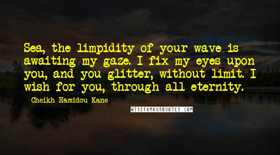 Cheikh Hamidou Kane Quotes: Sea, the limpidity of your wave is awaiting my gaze. I fix my eyes upon you, and you glitter, without limit. I wish for you, through all eternity.
