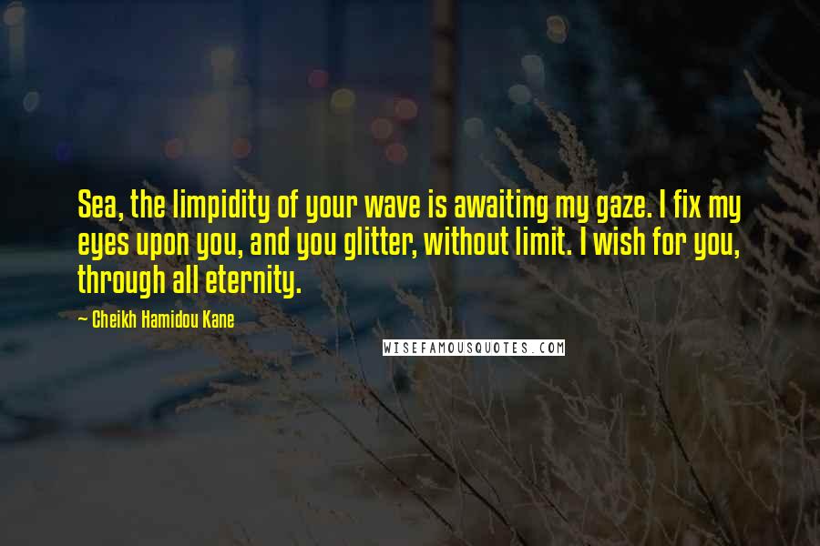 Cheikh Hamidou Kane Quotes: Sea, the limpidity of your wave is awaiting my gaze. I fix my eyes upon you, and you glitter, without limit. I wish for you, through all eternity.
