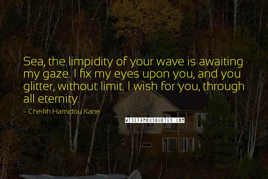 Cheikh Hamidou Kane Quotes: Sea, the limpidity of your wave is awaiting my gaze. I fix my eyes upon you, and you glitter, without limit. I wish for you, through all eternity.