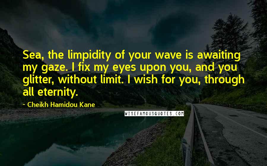 Cheikh Hamidou Kane Quotes: Sea, the limpidity of your wave is awaiting my gaze. I fix my eyes upon you, and you glitter, without limit. I wish for you, through all eternity.