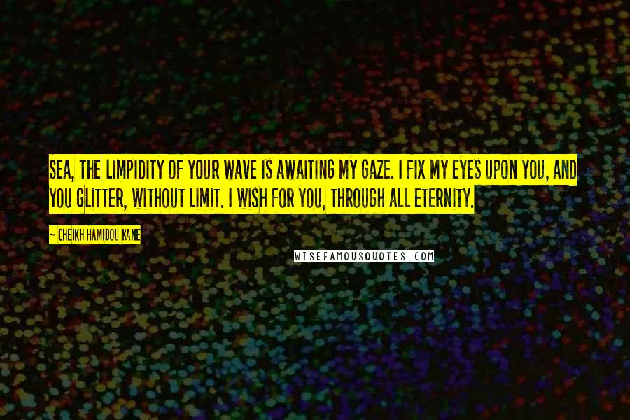 Cheikh Hamidou Kane Quotes: Sea, the limpidity of your wave is awaiting my gaze. I fix my eyes upon you, and you glitter, without limit. I wish for you, through all eternity.
