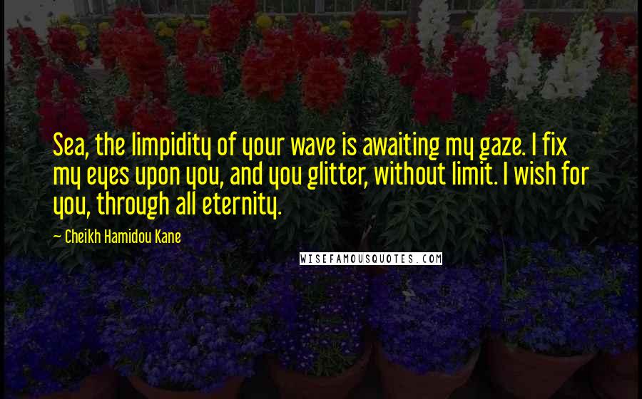 Cheikh Hamidou Kane Quotes: Sea, the limpidity of your wave is awaiting my gaze. I fix my eyes upon you, and you glitter, without limit. I wish for you, through all eternity.