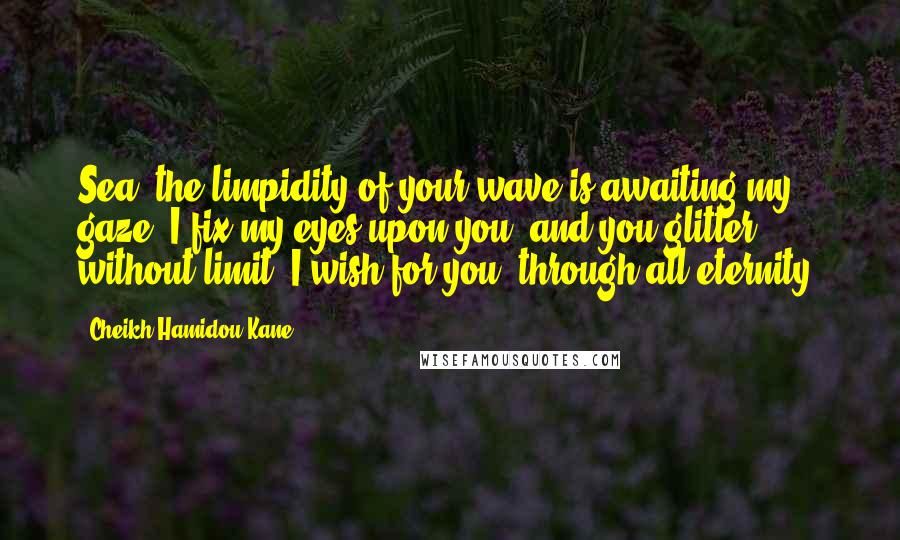 Cheikh Hamidou Kane Quotes: Sea, the limpidity of your wave is awaiting my gaze. I fix my eyes upon you, and you glitter, without limit. I wish for you, through all eternity.