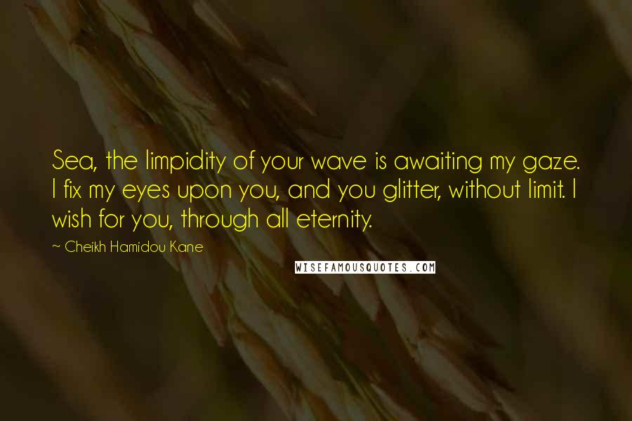Cheikh Hamidou Kane Quotes: Sea, the limpidity of your wave is awaiting my gaze. I fix my eyes upon you, and you glitter, without limit. I wish for you, through all eternity.