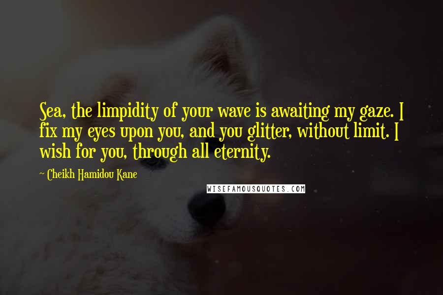Cheikh Hamidou Kane Quotes: Sea, the limpidity of your wave is awaiting my gaze. I fix my eyes upon you, and you glitter, without limit. I wish for you, through all eternity.