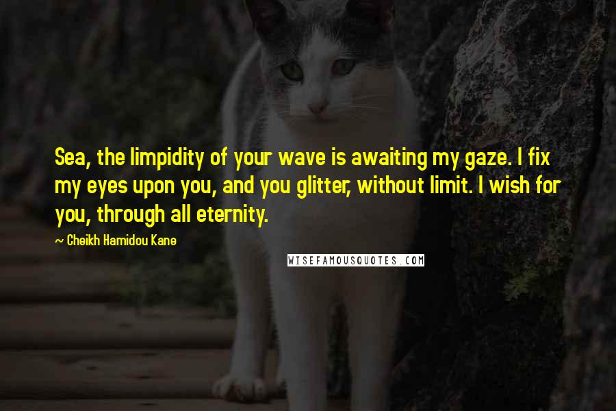 Cheikh Hamidou Kane Quotes: Sea, the limpidity of your wave is awaiting my gaze. I fix my eyes upon you, and you glitter, without limit. I wish for you, through all eternity.