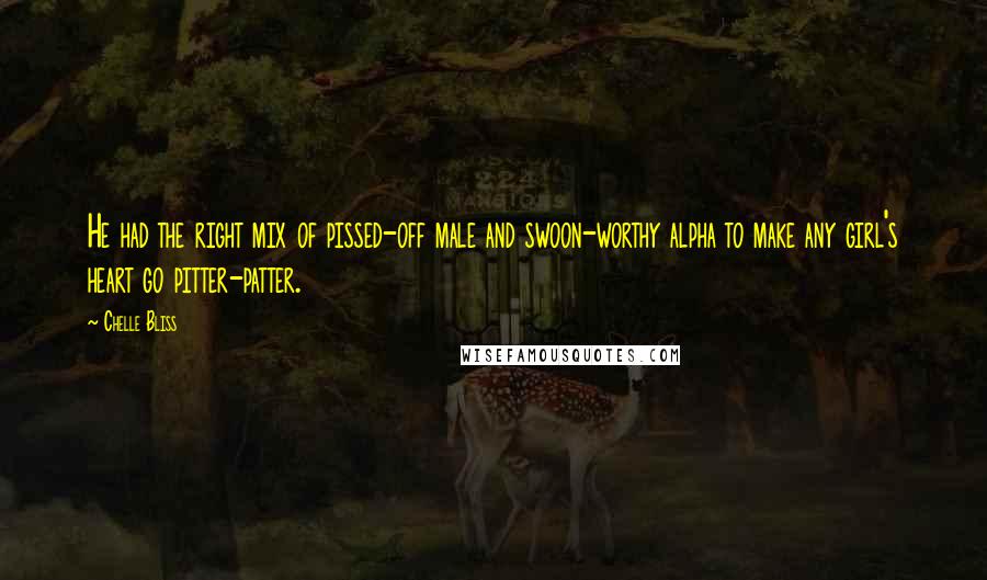 Chelle Bliss Quotes: He had the right mix of pissed-off male and swoon-worthy alpha to make any girl's heart go pitter-patter.