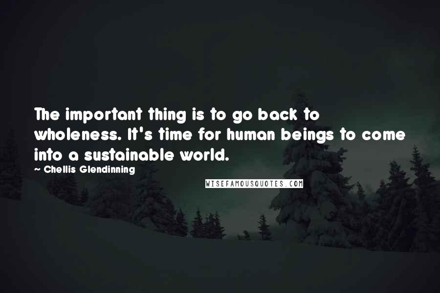 Chellis Glendinning Quotes: The important thing is to go back to wholeness. It's time for human beings to come into a sustainable world.