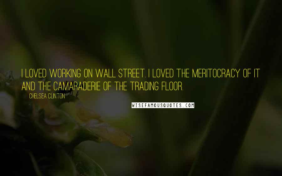 Chelsea Clinton Quotes: I loved working on Wall Street. I loved the meritocracy of it and the camaraderie of the trading floor.