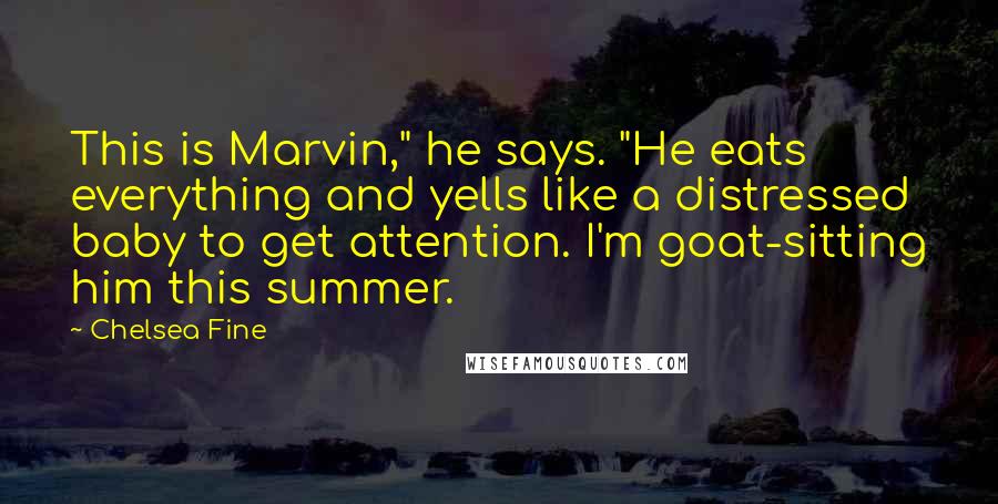 Chelsea Fine Quotes: This is Marvin," he says. "He eats everything and yells like a distressed baby to get attention. I'm goat-sitting him this summer.
