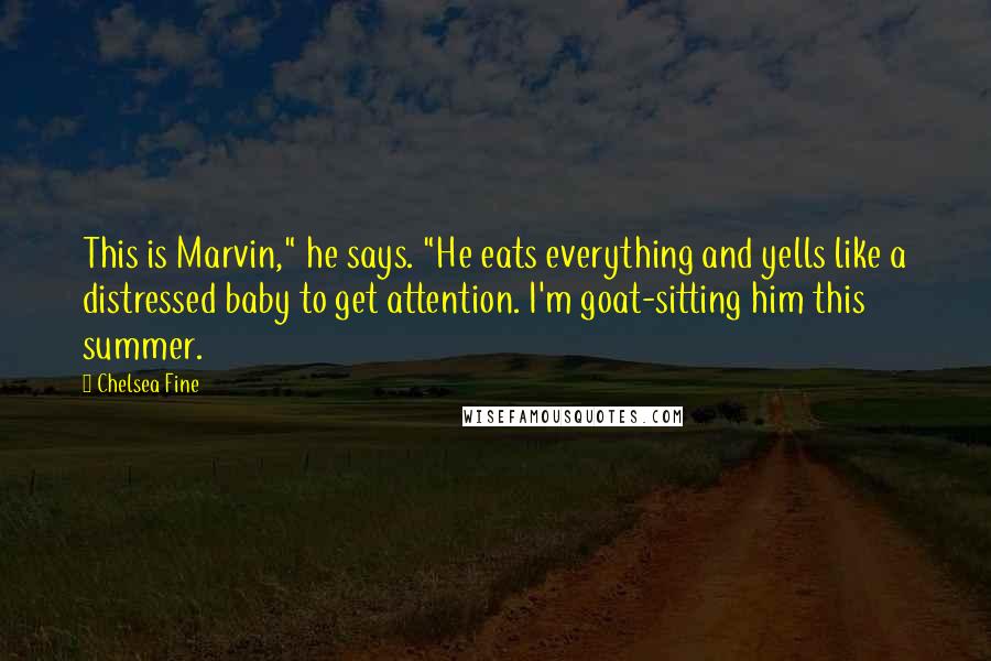 Chelsea Fine Quotes: This is Marvin," he says. "He eats everything and yells like a distressed baby to get attention. I'm goat-sitting him this summer.