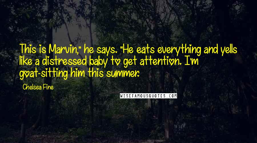 Chelsea Fine Quotes: This is Marvin," he says. "He eats everything and yells like a distressed baby to get attention. I'm goat-sitting him this summer.