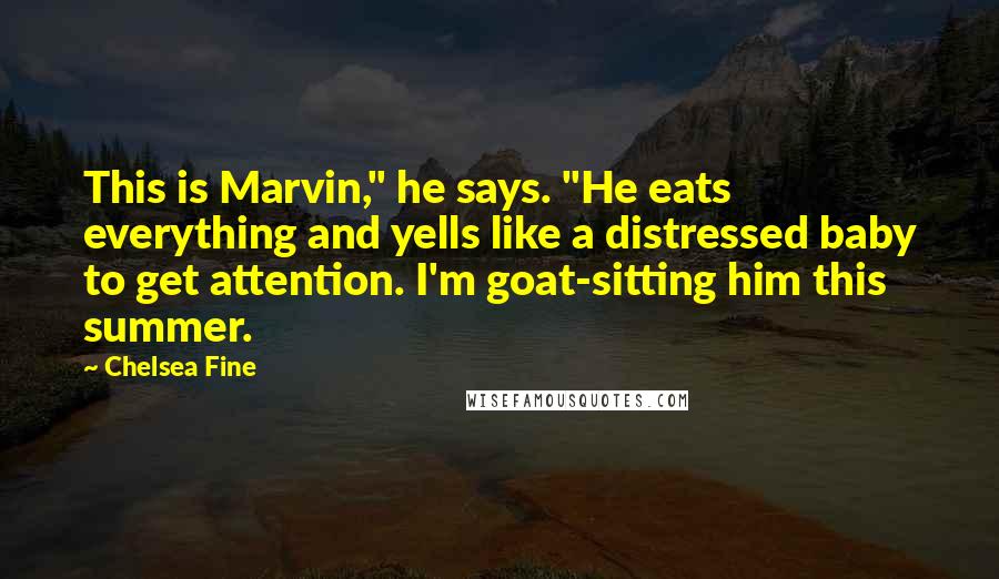 Chelsea Fine Quotes: This is Marvin," he says. "He eats everything and yells like a distressed baby to get attention. I'm goat-sitting him this summer.