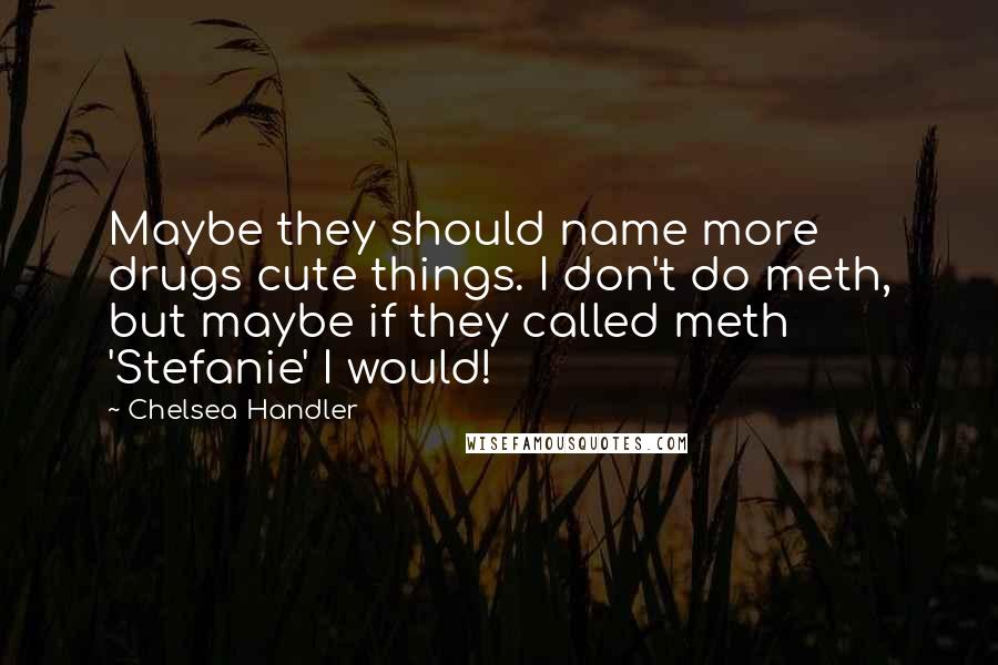 Chelsea Handler Quotes: Maybe they should name more drugs cute things. I don't do meth, but maybe if they called meth 'Stefanie' I would!