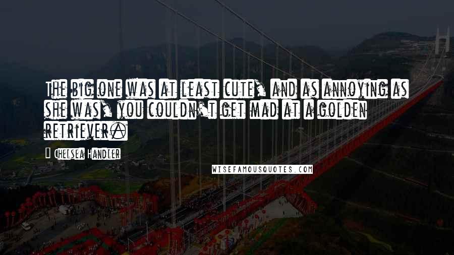 Chelsea Handler Quotes: The big one was at least cute, and as annoying as she was, you couldn't get mad at a golden retriever.