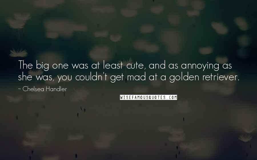 Chelsea Handler Quotes: The big one was at least cute, and as annoying as she was, you couldn't get mad at a golden retriever.