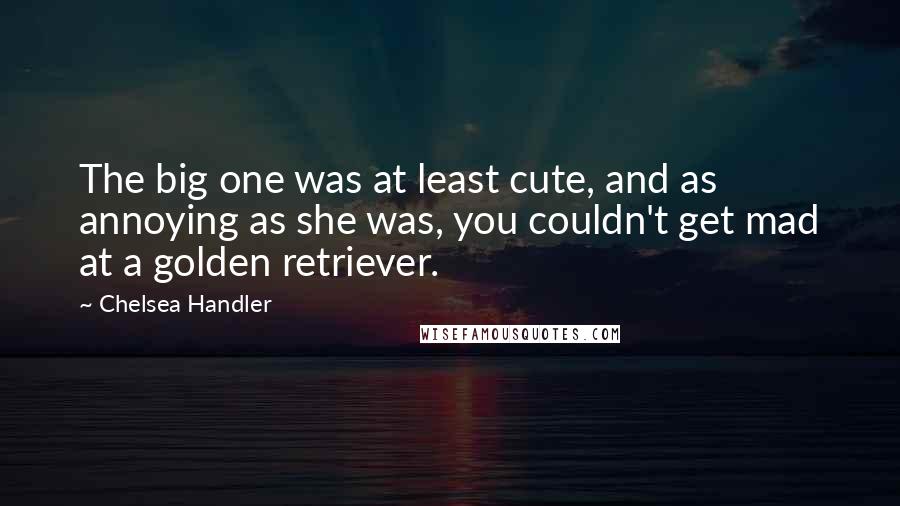 Chelsea Handler Quotes: The big one was at least cute, and as annoying as she was, you couldn't get mad at a golden retriever.