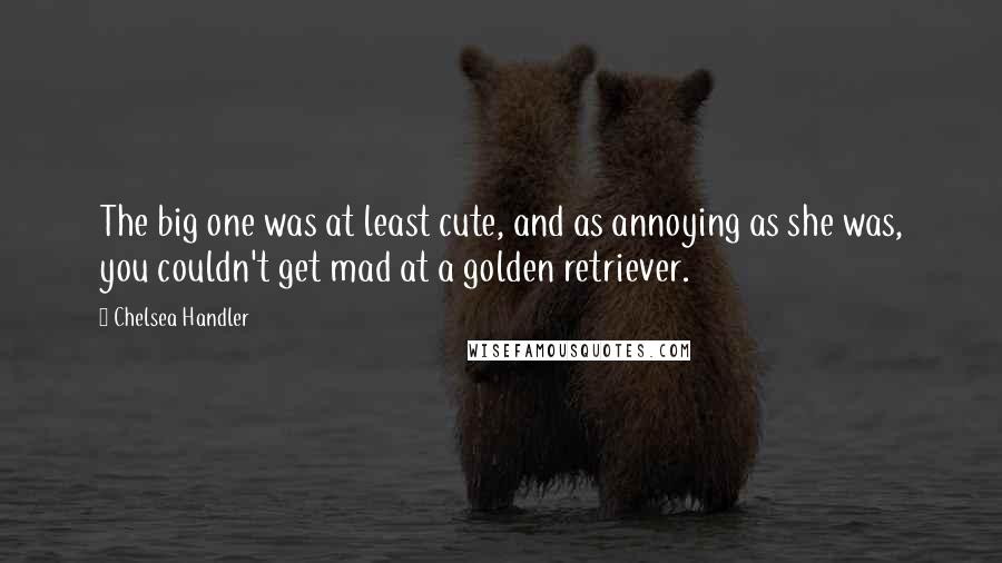 Chelsea Handler Quotes: The big one was at least cute, and as annoying as she was, you couldn't get mad at a golden retriever.