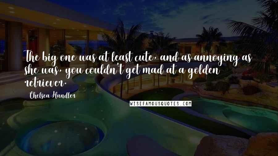 Chelsea Handler Quotes: The big one was at least cute, and as annoying as she was, you couldn't get mad at a golden retriever.