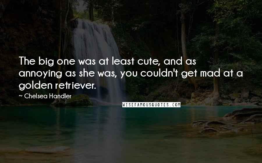 Chelsea Handler Quotes: The big one was at least cute, and as annoying as she was, you couldn't get mad at a golden retriever.