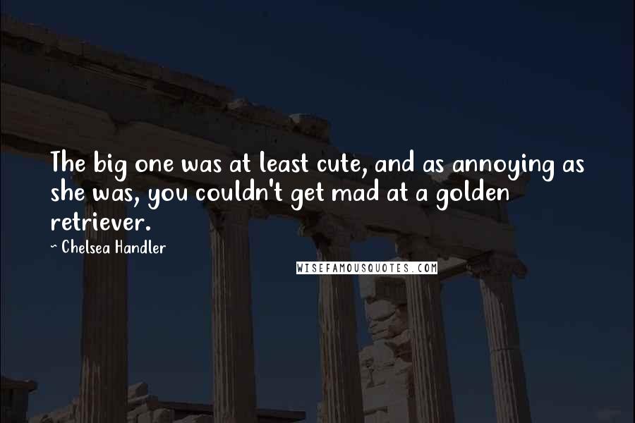 Chelsea Handler Quotes: The big one was at least cute, and as annoying as she was, you couldn't get mad at a golden retriever.