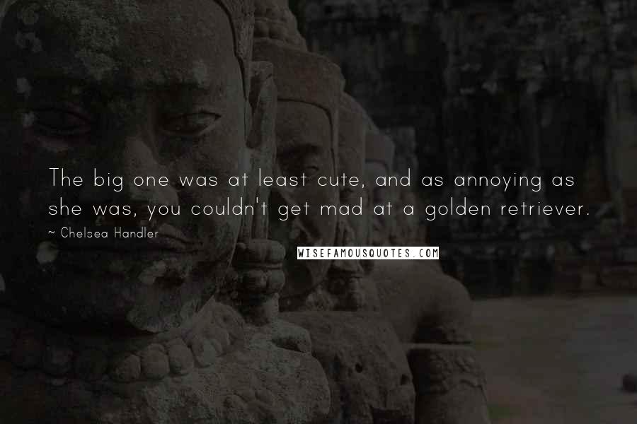 Chelsea Handler Quotes: The big one was at least cute, and as annoying as she was, you couldn't get mad at a golden retriever.