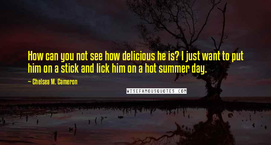 Chelsea M. Cameron Quotes: How can you not see how delicious he is? I just want to put him on a stick and lick him on a hot summer day.