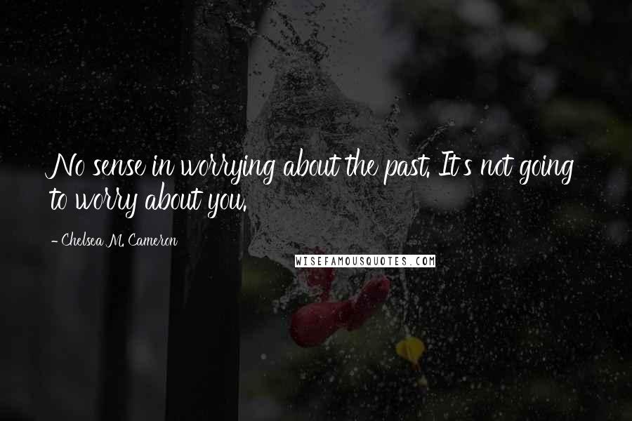 Chelsea M. Cameron Quotes: No sense in worrying about the past. It's not going to worry about you.