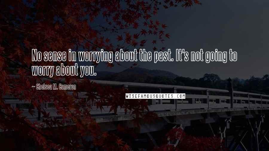 Chelsea M. Cameron Quotes: No sense in worrying about the past. It's not going to worry about you.
