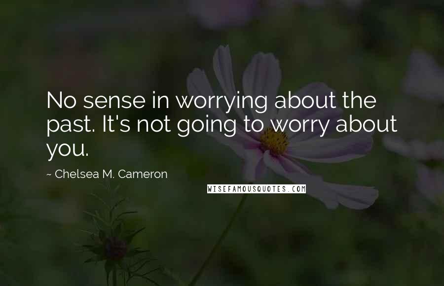 Chelsea M. Cameron Quotes: No sense in worrying about the past. It's not going to worry about you.