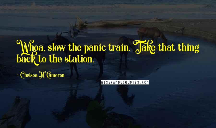 Chelsea M. Cameron Quotes: Whoa, slow the panic train. Take that thing back to the station.