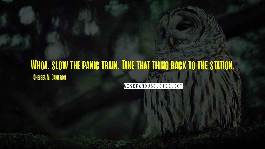 Chelsea M. Cameron Quotes: Whoa, slow the panic train. Take that thing back to the station.