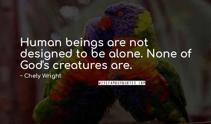 Chely Wright Quotes: Human beings are not designed to be alone. None of God's creatures are.