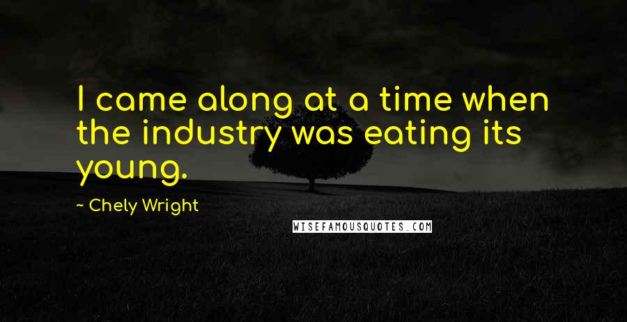 Chely Wright Quotes: I came along at a time when the industry was eating its young.