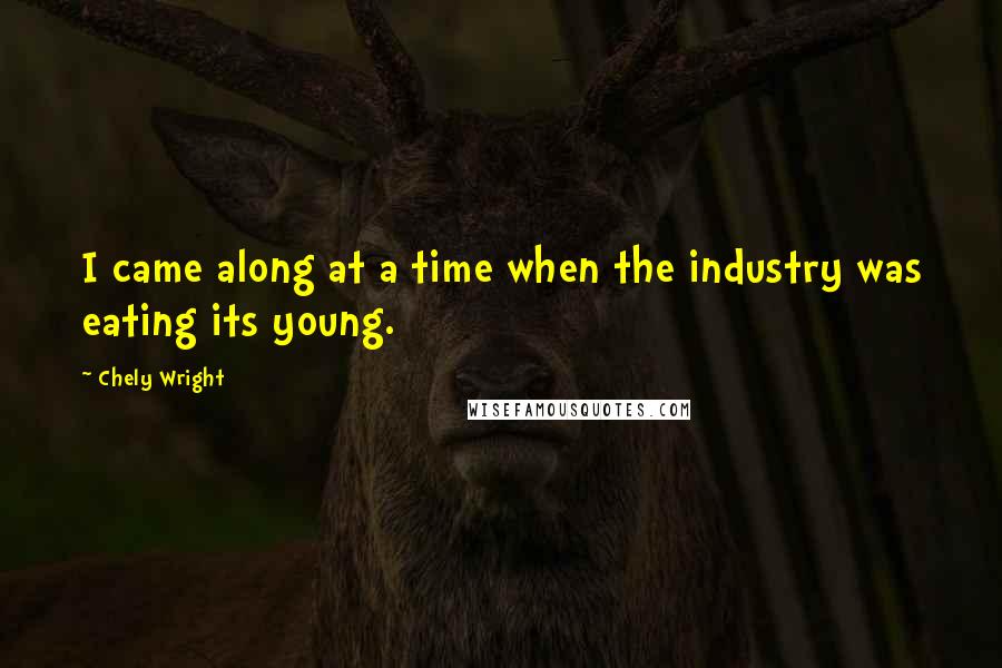 Chely Wright Quotes: I came along at a time when the industry was eating its young.