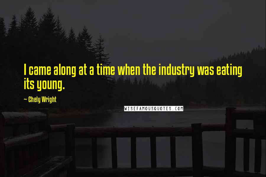 Chely Wright Quotes: I came along at a time when the industry was eating its young.