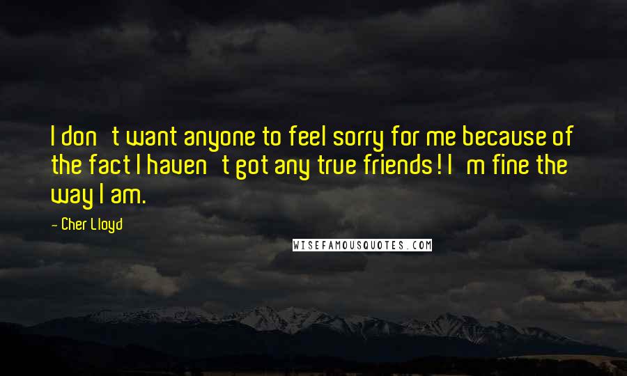 Cher Lloyd Quotes: I don't want anyone to feel sorry for me because of the fact I haven't got any true friends! I'm fine the way I am.