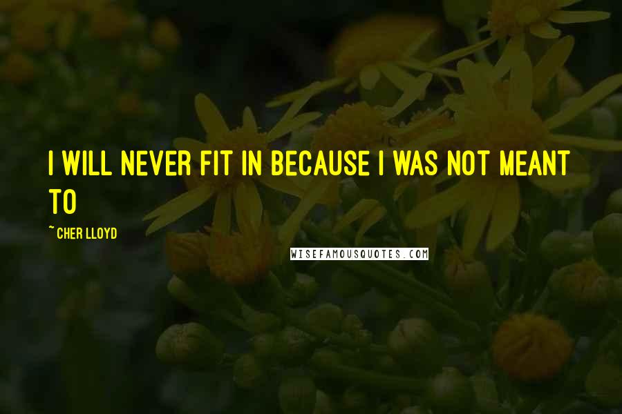 Cher Lloyd Quotes: I will never fit in because I was not meant to