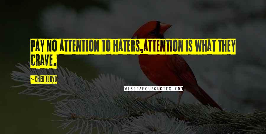 Cher Lloyd Quotes: Pay no attention to haters,attention is what they crave.