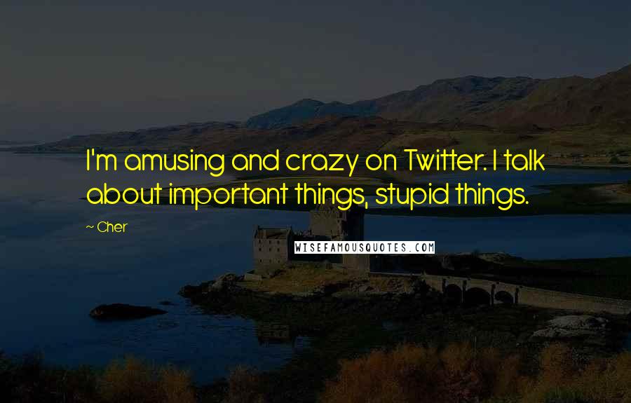 Cher Quotes: I'm amusing and crazy on Twitter. I talk about important things, stupid things.